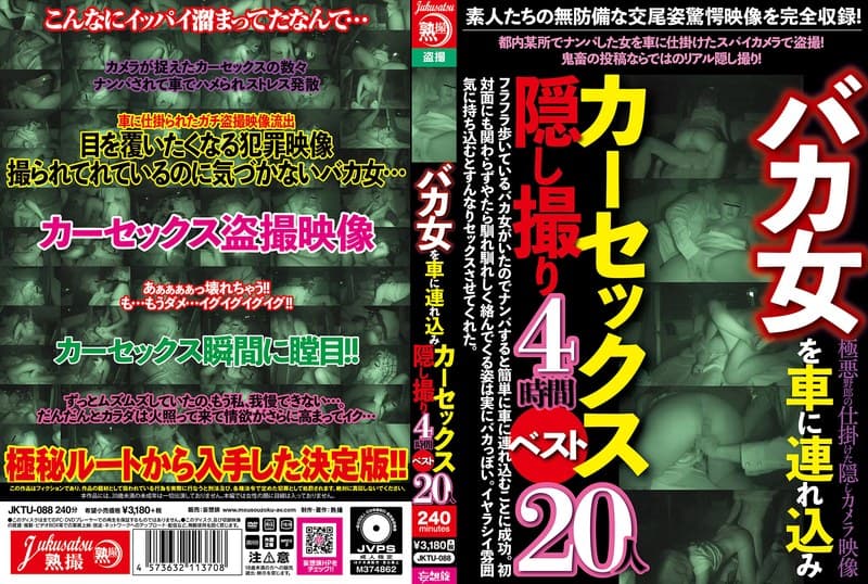 バカ女を車に連れ込みカーセックス隠し撮り4時間ベスト20人